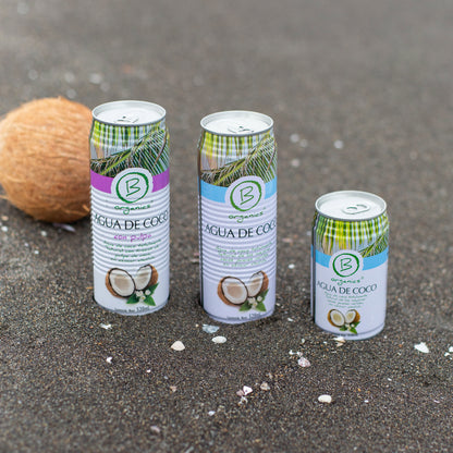 Agua de Coco Natural 330 ml